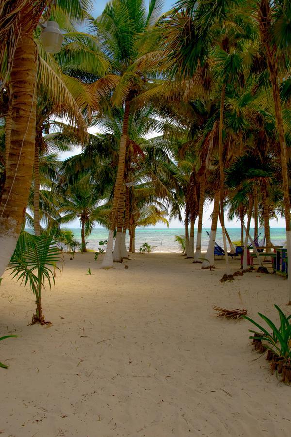 Cabanas Costa Del Sol Hotel Punta Allen Exterior photo